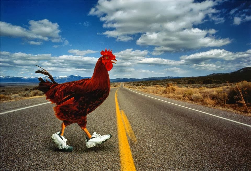Why did the chicken cross road